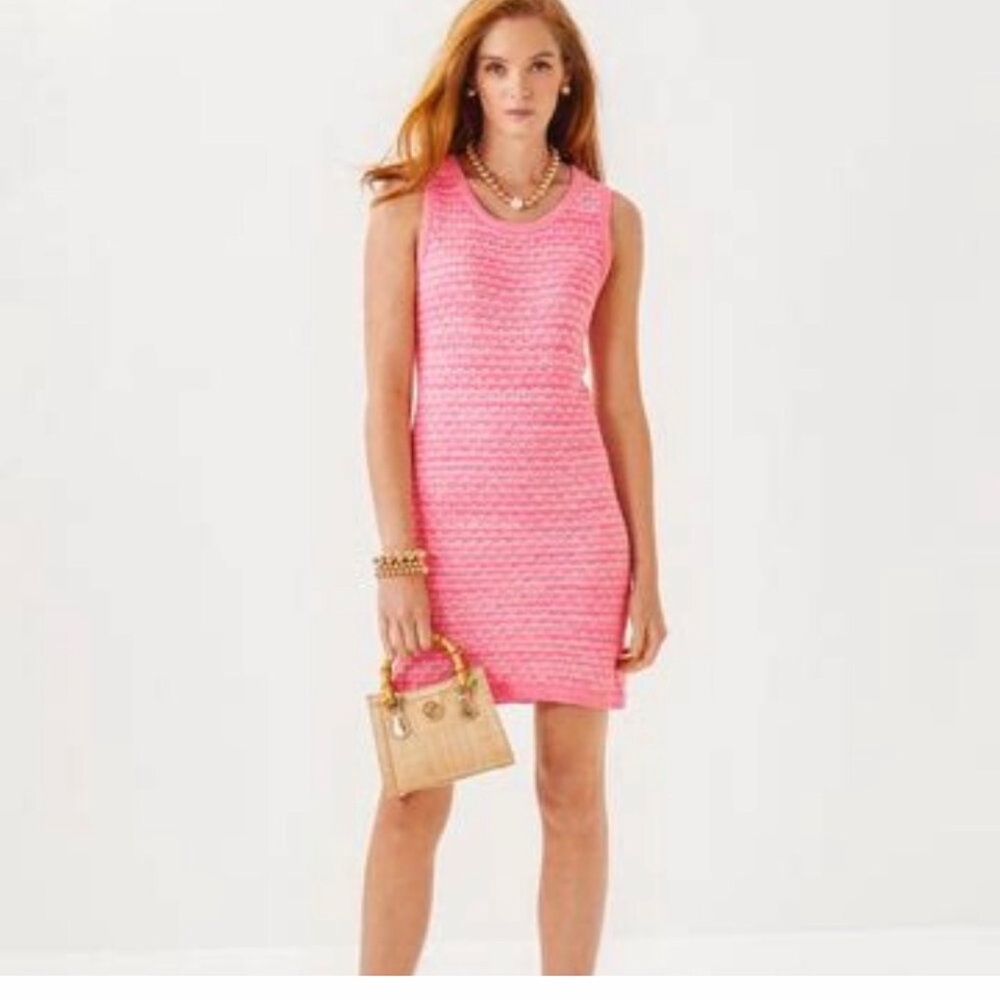 Nwt Lilly Pulitzer Carlow sweater Vibrant Pink Mini Dress large